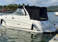 Sea Ray Sundancer 280 30 Pies – Año 2004