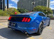 Ford Mustang GT – Año 2017