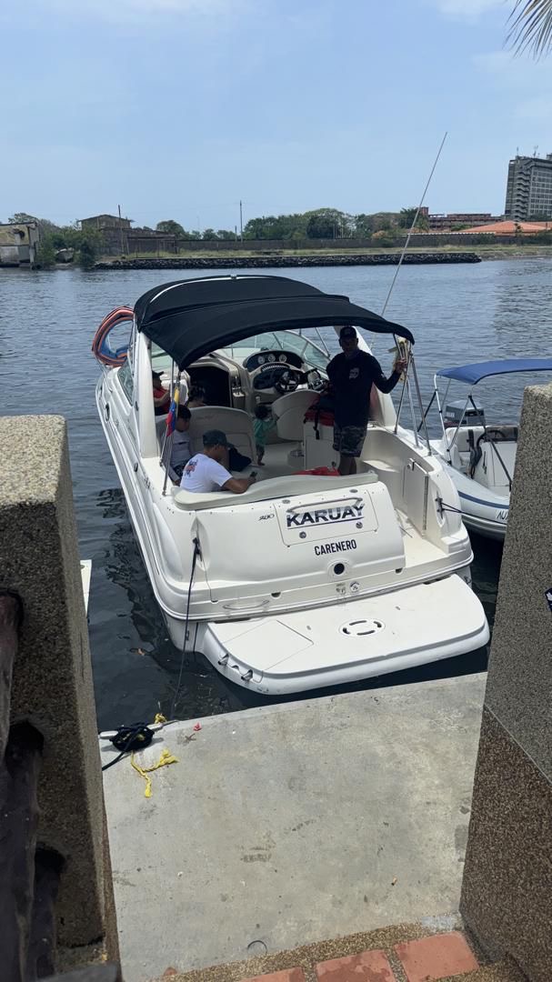 Sea Ray Sundancer 280 30 Pies – Año 2004