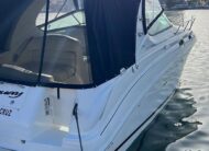 Sea Ray Sundancer 280 30 Pies – Año 2004