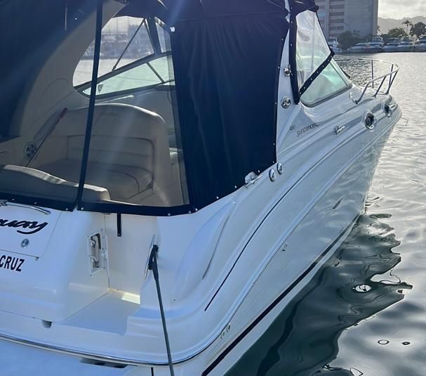 Sea Ray Sundancer 280 30 Pies – Año 2004
