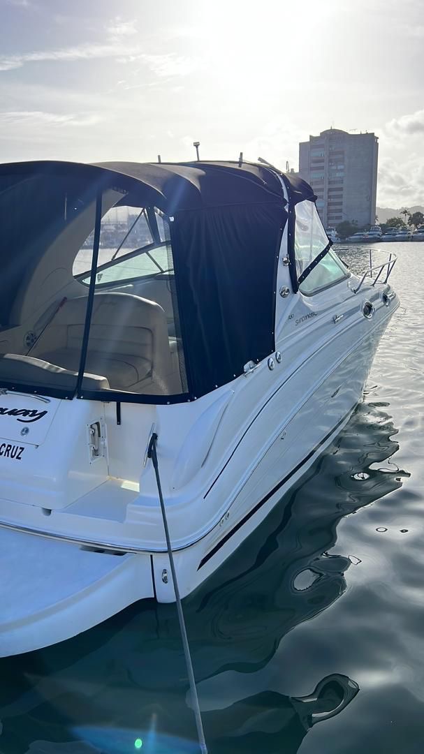 Sea Ray Sundancer 280 30 Pies – Año 2004