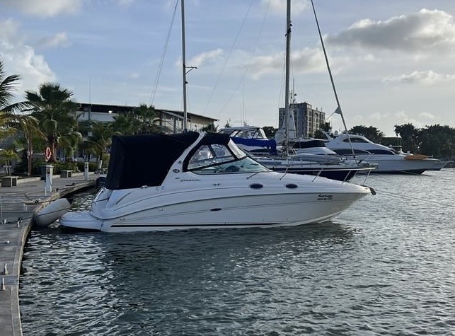 Sea Ray Sundancer 280 30 Pies – Año 2004
