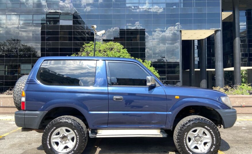Toyota Meru – Año 2007