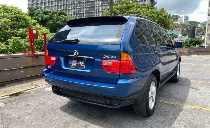 BMW X5 – Año 2002