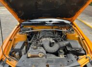 Ford Mustang – Año 2008