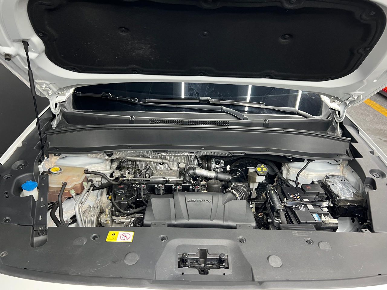 Jac Savanna – Año 2024