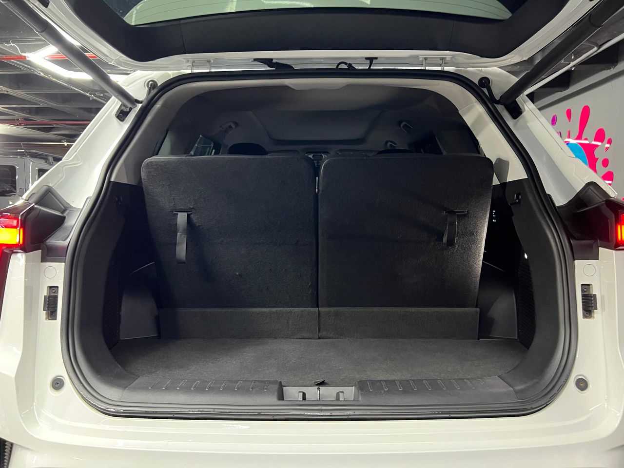 Jac Savanna – Año 2024