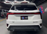 Jac Savanna – Año 2024