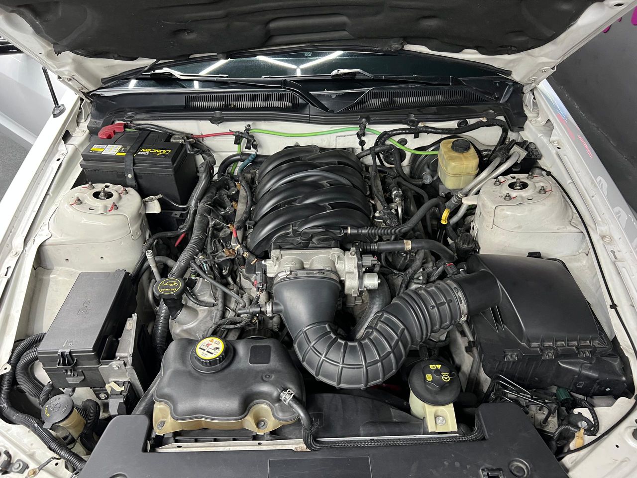 Ford Mustang – Año 2007