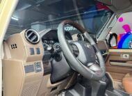 Toyota Hembrita – Año 2024